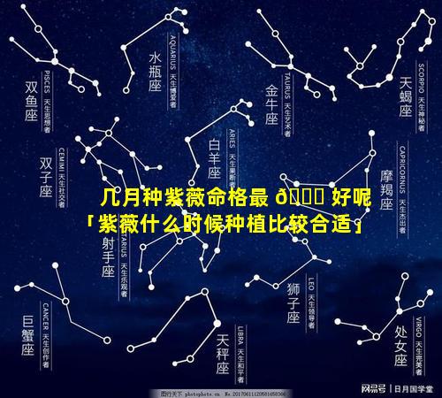 几月种紫薇命格最 💐 好呢「紫薇什么时候种植比较合适」